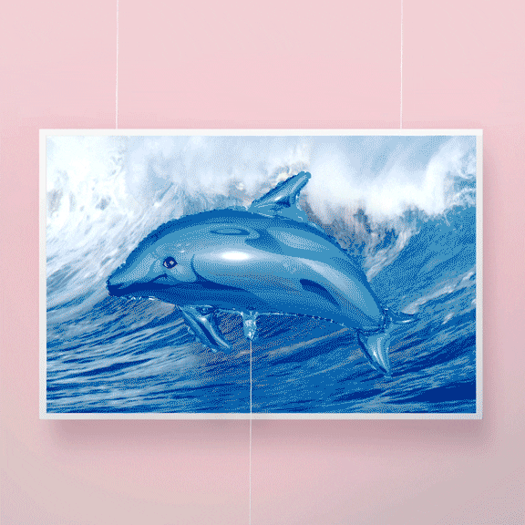 Dolphin Surfer