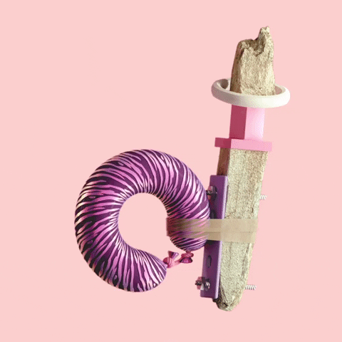 D Letter