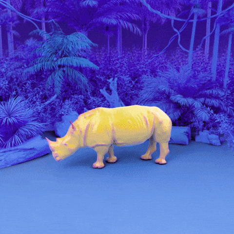 Toto le Rhino