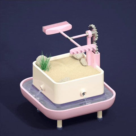 Zen Garden