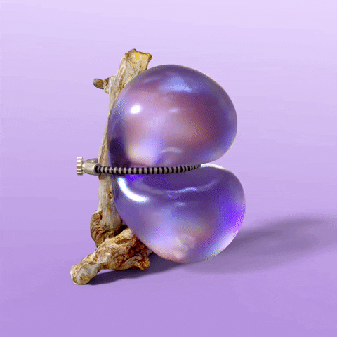 Letter B