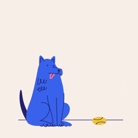 Dog Ball