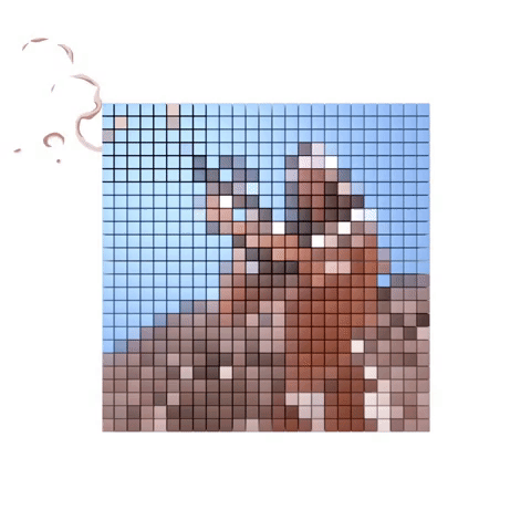 Pixel Warrior